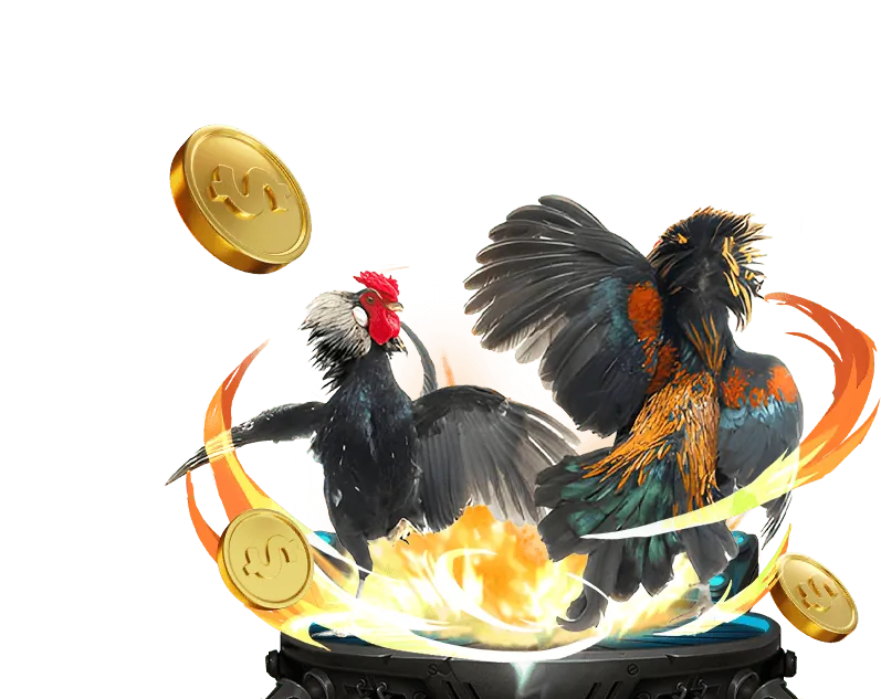 Giao Diện Thân Thiện Rio 66