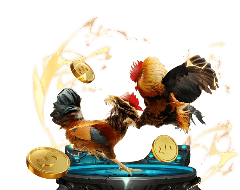 Định vị thương hiệu rio 66